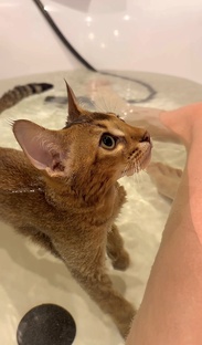 ВОДНЫЕ ПРОЦЕДУРЫ 