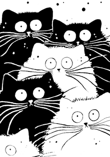 Жизнь турецких котиков и других братьев меньших