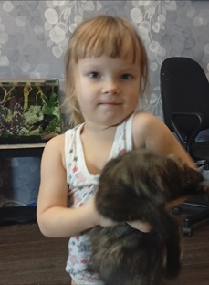 Забавные ролики