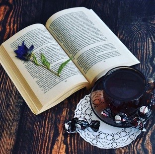 Книга на ночь