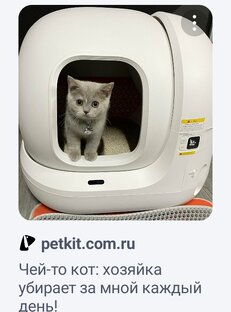 Мои животные и всё что с ними связано