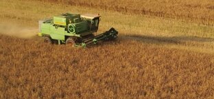 короткие видео