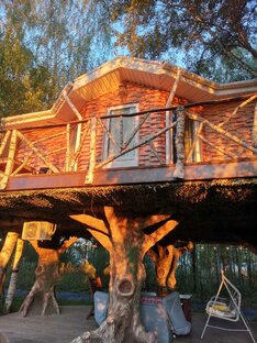 Недвижимость