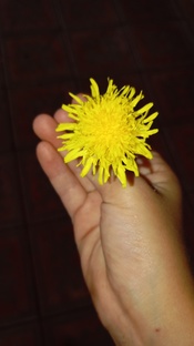 впечатления за лето 2024 