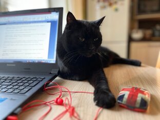 Мои рассказы 