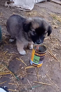 Делимся добром❤️