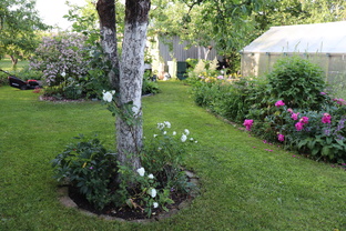 Мой сад и огород