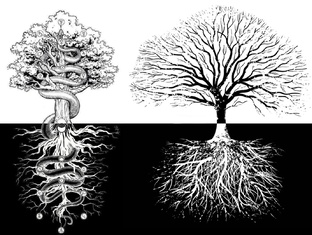 Тьма и Свет