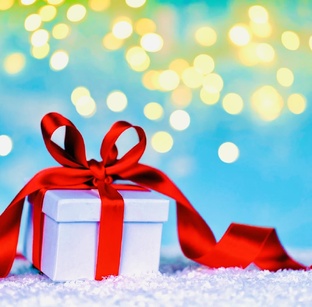 БЛИЗНЕЦОВЫЕ ПЛАМЕНА 