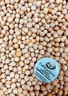 Горох Болдор