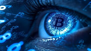 Марафон Бомж портфель на1$