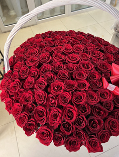 Красные розы из Эквадора (эквадорские розы)