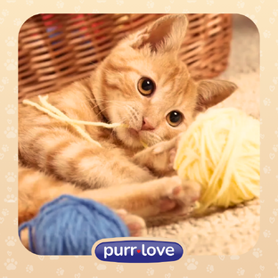 Игры и игрушки