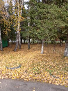 У меня во дворе