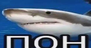 Нуб про читер грифер