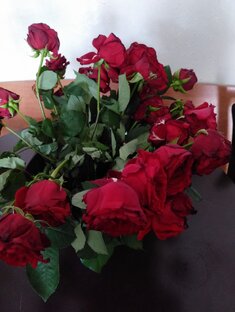 Любовь на пенсии? Да!!!!