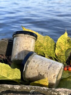 Наш ассортимент