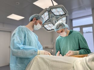 Эксклюзивные операции 