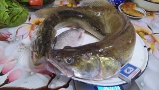 РЫБАЛКА
