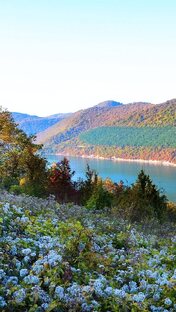 Путешествия и впечатления