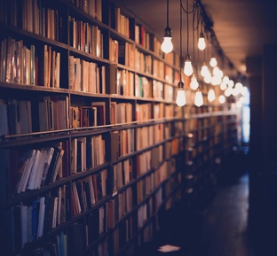 Книжные открытия: Лучшие подборки