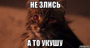 Короткие видео