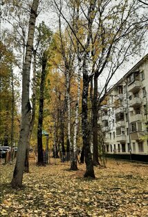 Житейские истории