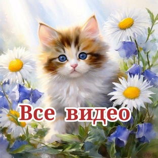 Все видео