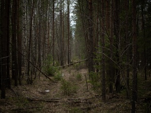 ПРИКЛЮЧЕНИЯ 2026