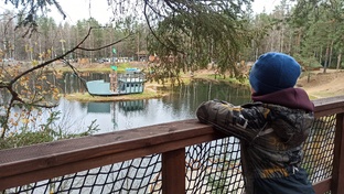 Прогулки по Санкт-Петербугру и области