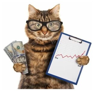 Группа ВК со всеми заработками из видео.