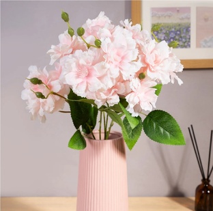 Обзоры магазинов.