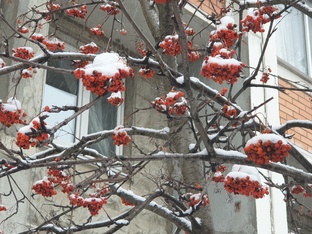 Не рукодельные