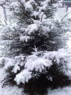 Зимние пейзажи