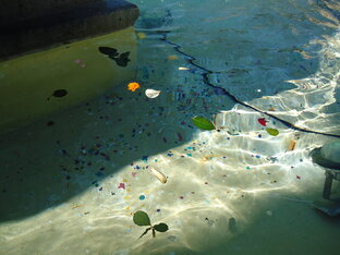 "Под миртами Италии прекрасной"