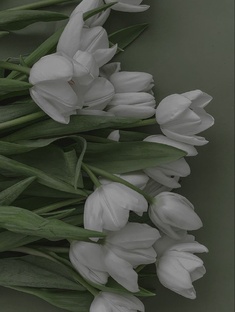 ▪️Польза во всем