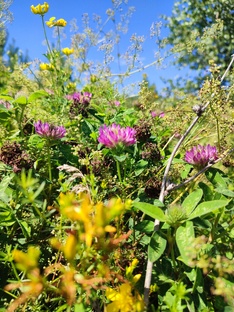 Лето в фотографиях🌞🌾