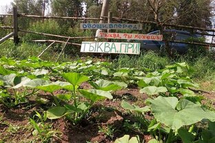 Три опоры продуктивности