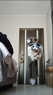 Прыжки