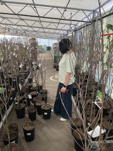 Дела садовые 🪴 