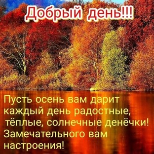 Цитаты дня. Мудрые мысли