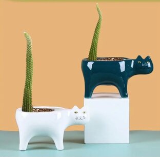 Детали интерьера с Wildberries 