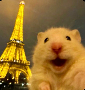 Практики манифестации 