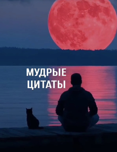 Мудрые цитаты и слова