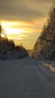АРХАНГЕЛЬСК 2026