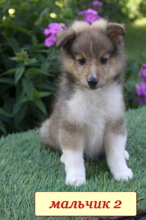 КАЙ готов к переезду в новый дом !