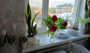 Купили квартиру. Переезд. Ремонт. Начало новой жизни.