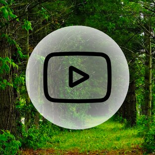 Обзоры и тесты