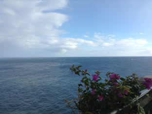 Мои мысли и размышления...