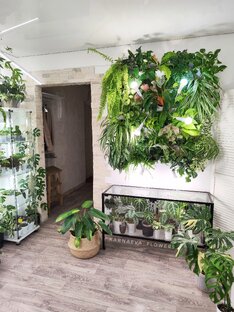 ФИТОМОДУЛИ🌱 (мой опыт | boxsand) 